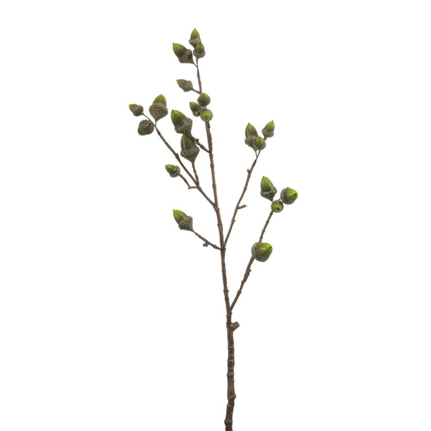 Oak spray green 70cm