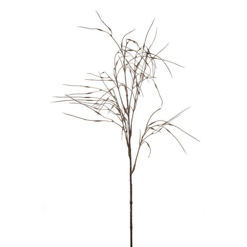 Stipa spray brown 80cm