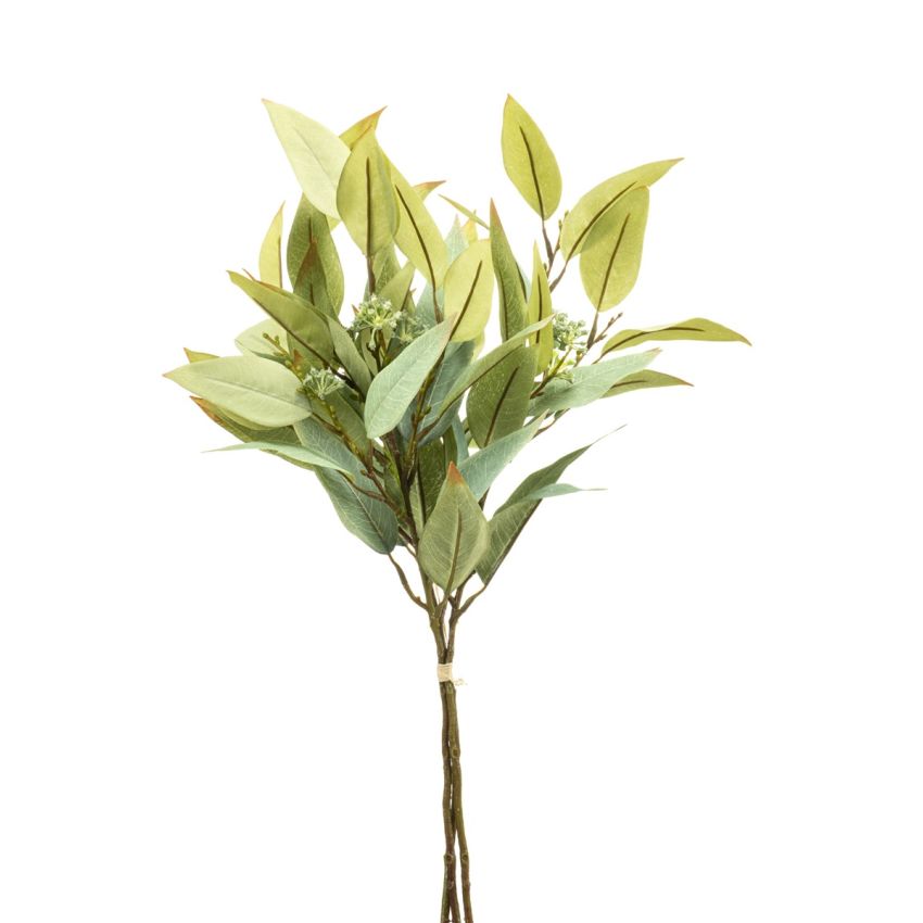 Eucalyptus bundle green 50cm