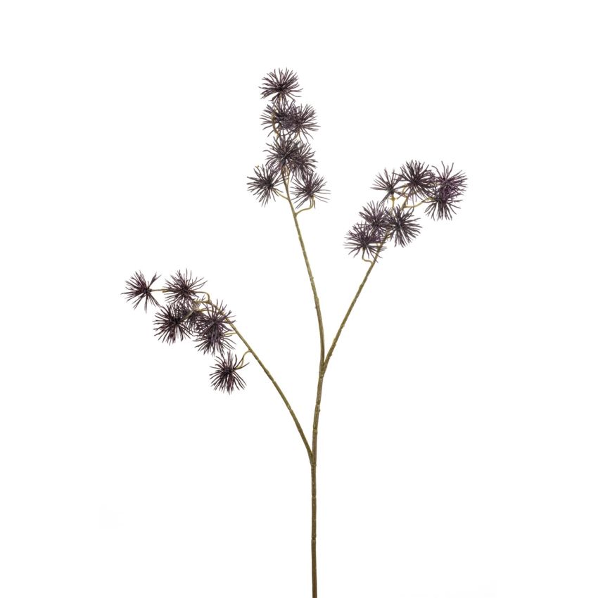 Clematis seed spray purple 70cm