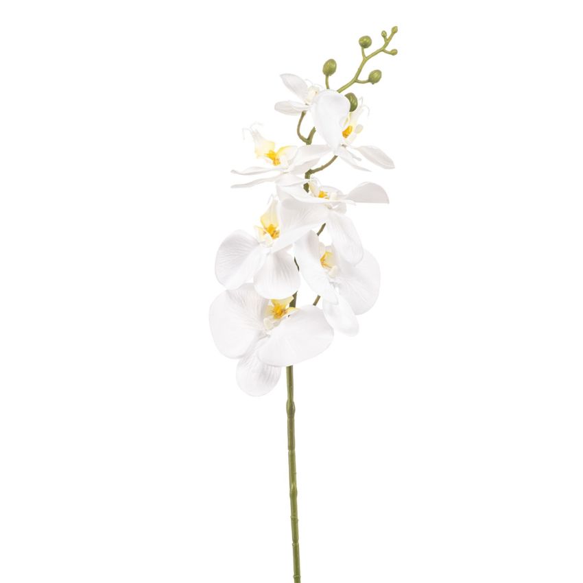 Phalaenopsis spray white 84cm