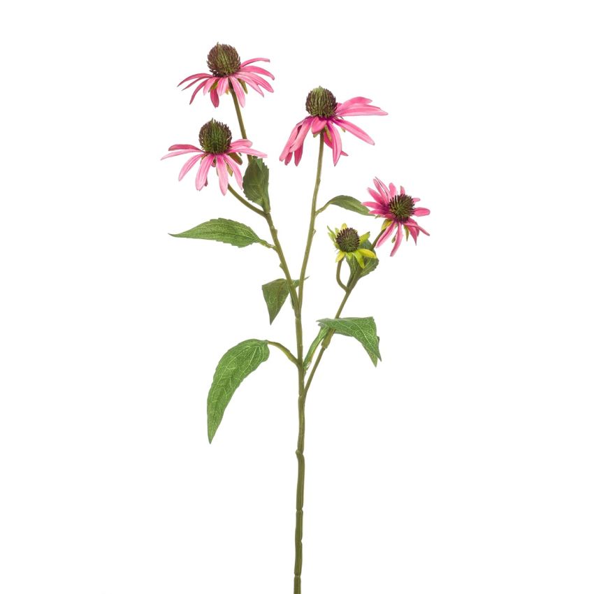 Rudbeckia spray pink 73cm