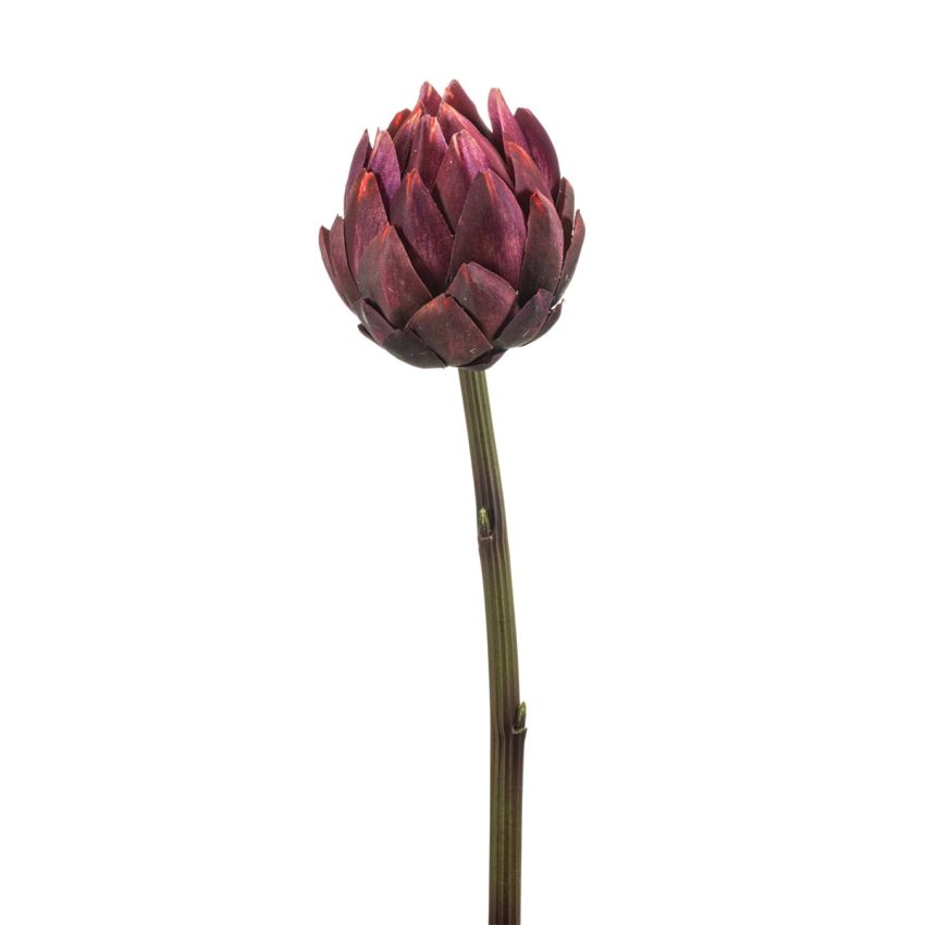 Artichoke spray rt burgundy 58cm
