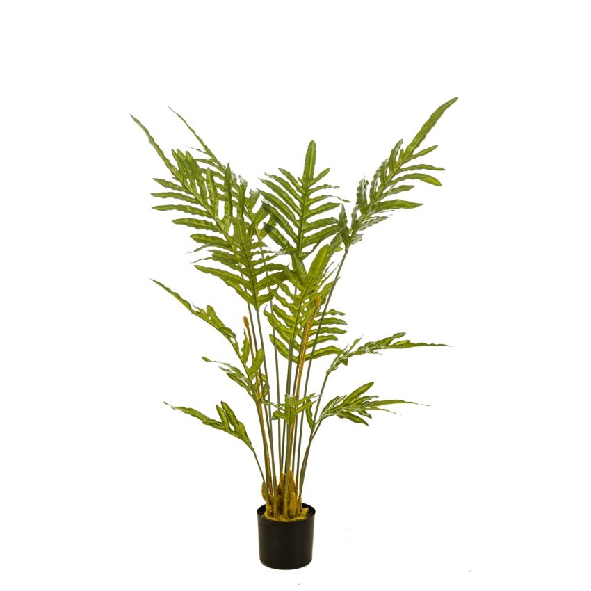 Fern plant 120cm
