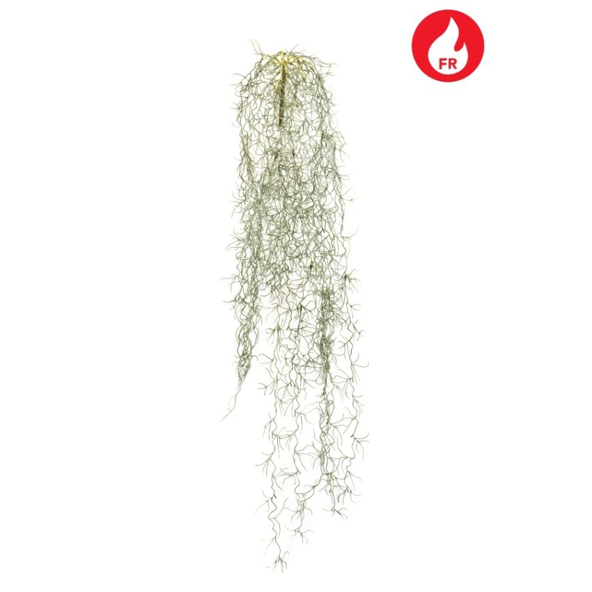 Tillandsia hair bush FR grey 90cm