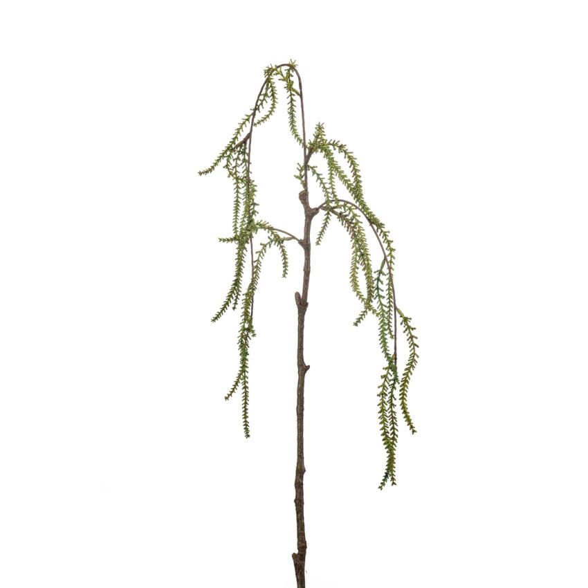 Amaranthus spray green 90cm