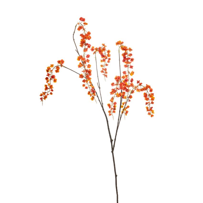 Lepidium spray orange 110cm