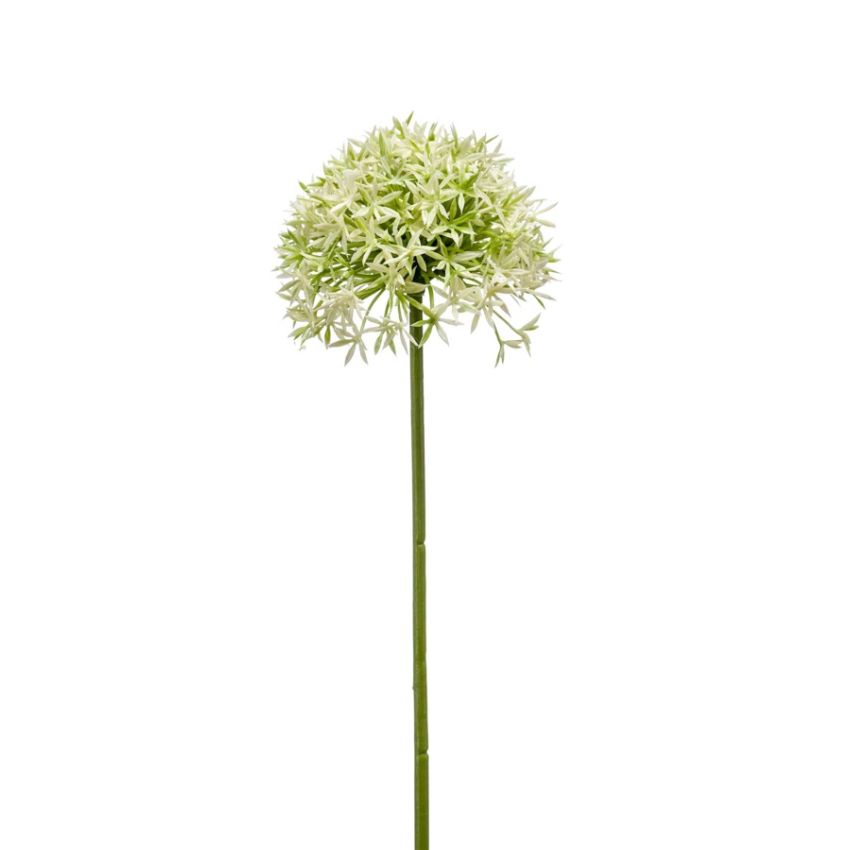 Allium spray cream/green 62cm