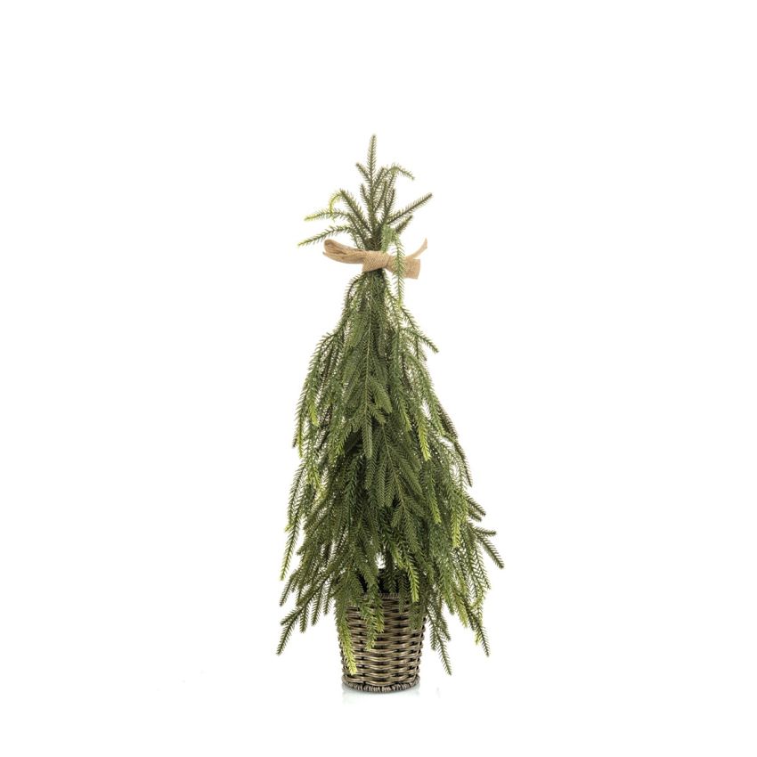 Pine tree in pot 65cm