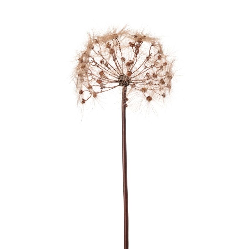 Dandelion spray brown 91cm