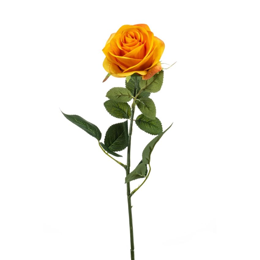 Rose jolie spray orange 65cm