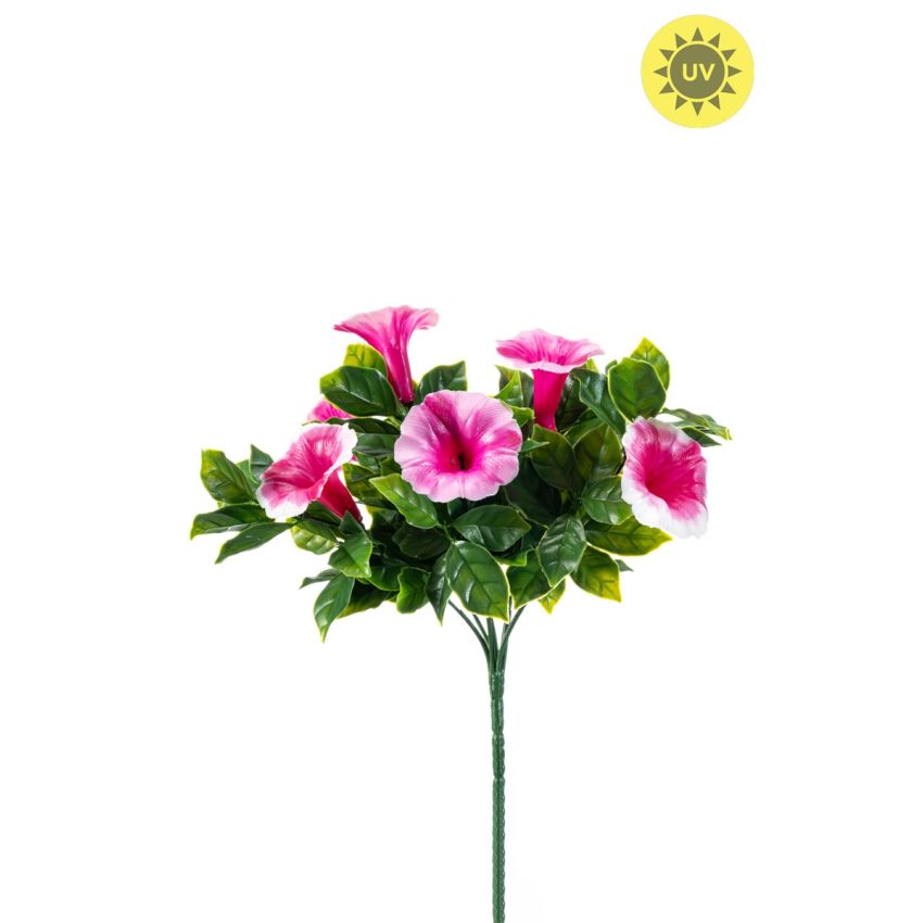 Petunia bush UV pink 27cm