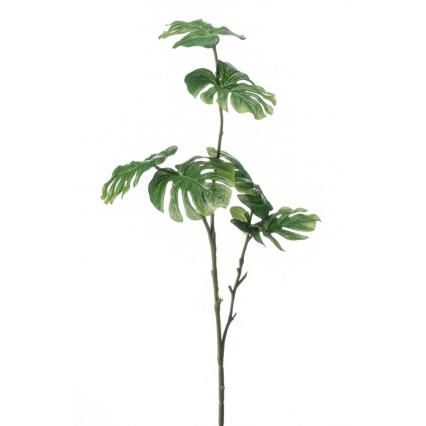 Monstera mini spray 72cm