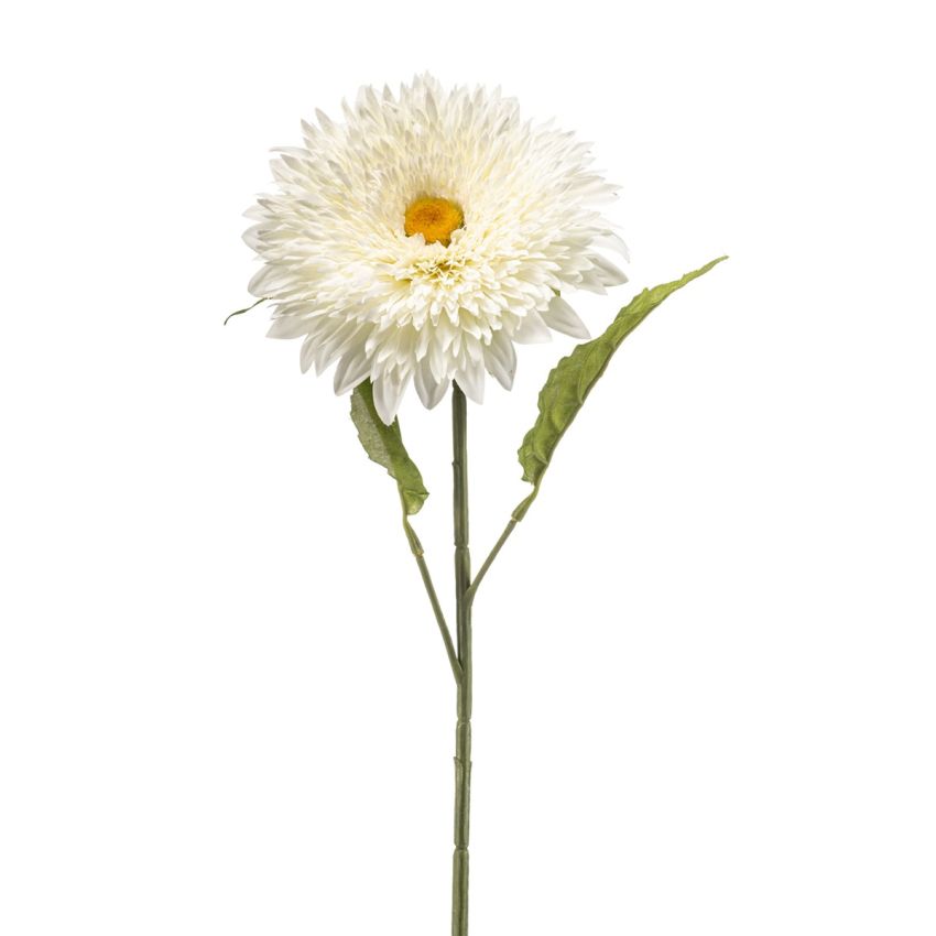 Helianthus spray white 65cm