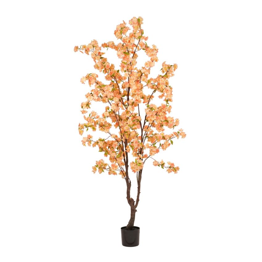 Blossom cherry tree peach 210cm