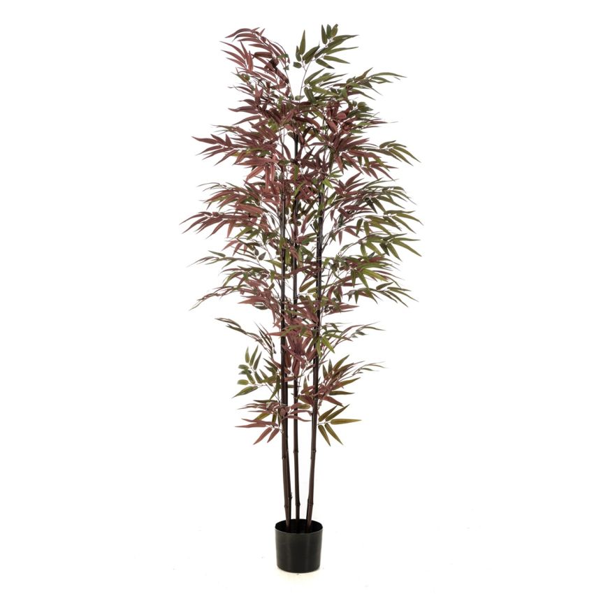 Bamboo green/burgundy x5 180cm