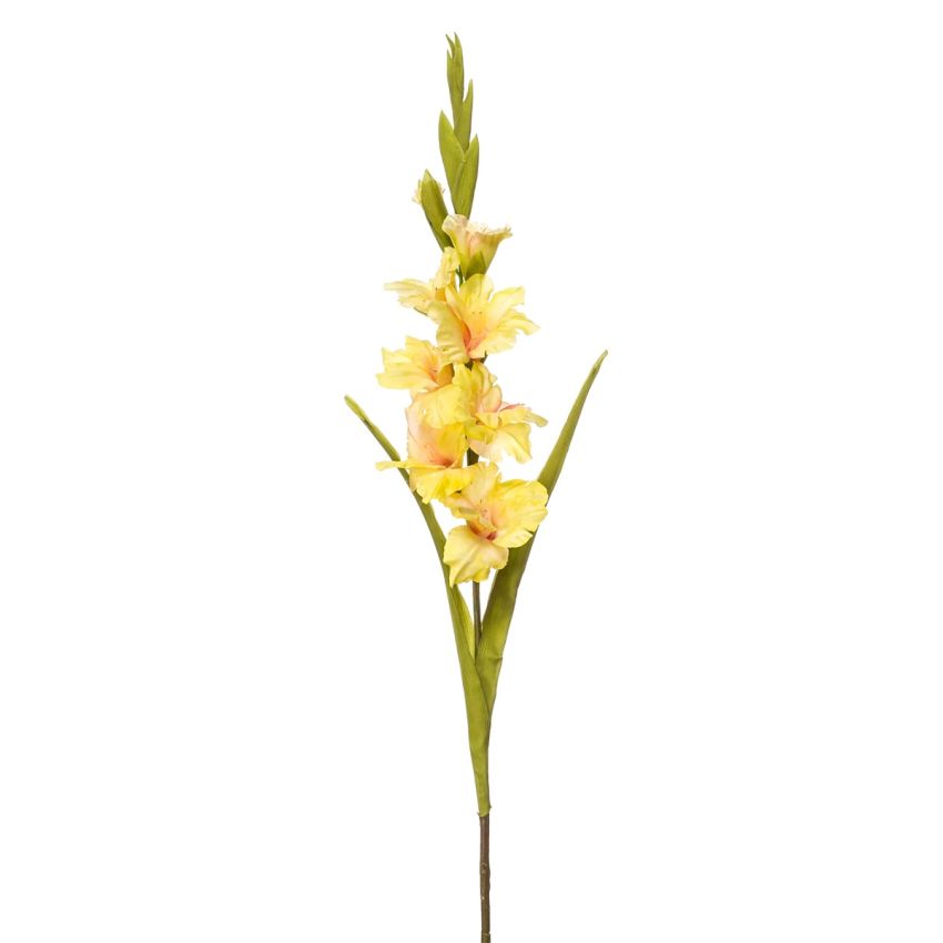 Gladiolus spray yellow 93cm