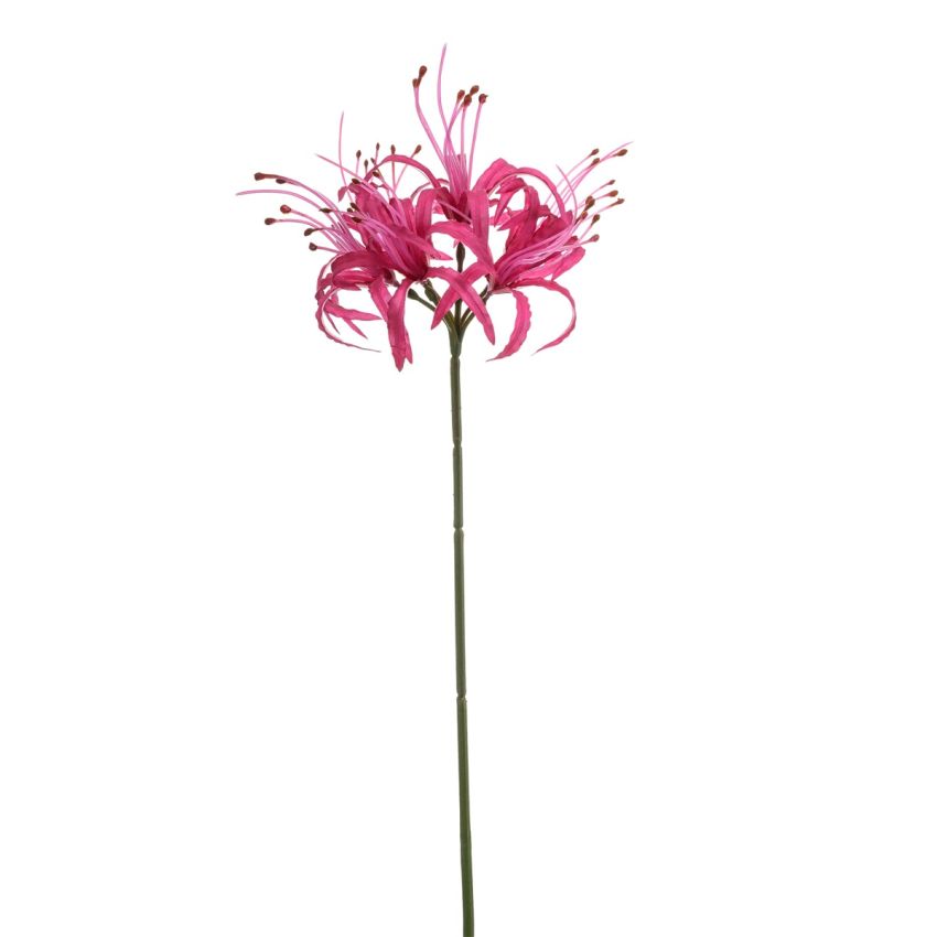 Nerine spray pink 63cm