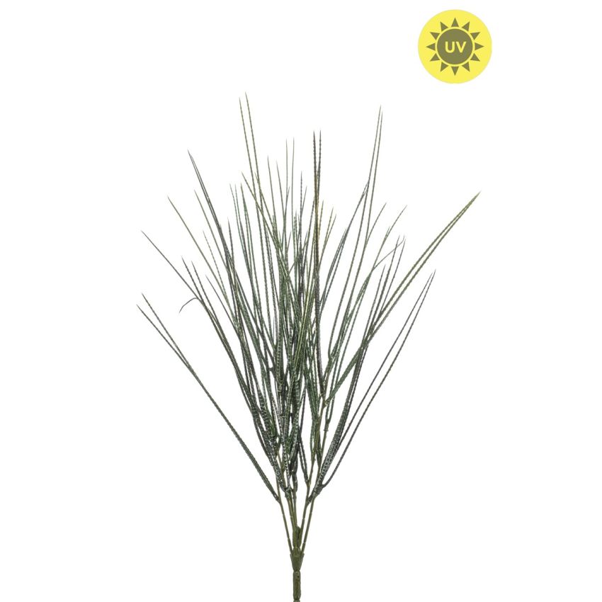 Cytisus bush UV 52cm