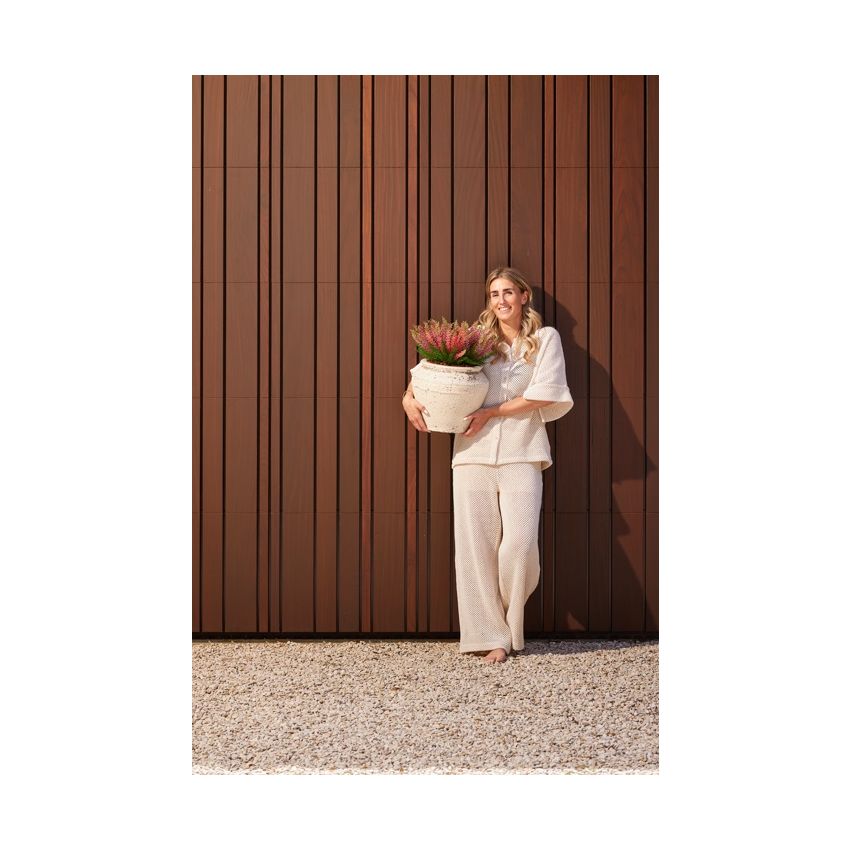 Erica bush UV white 29cm