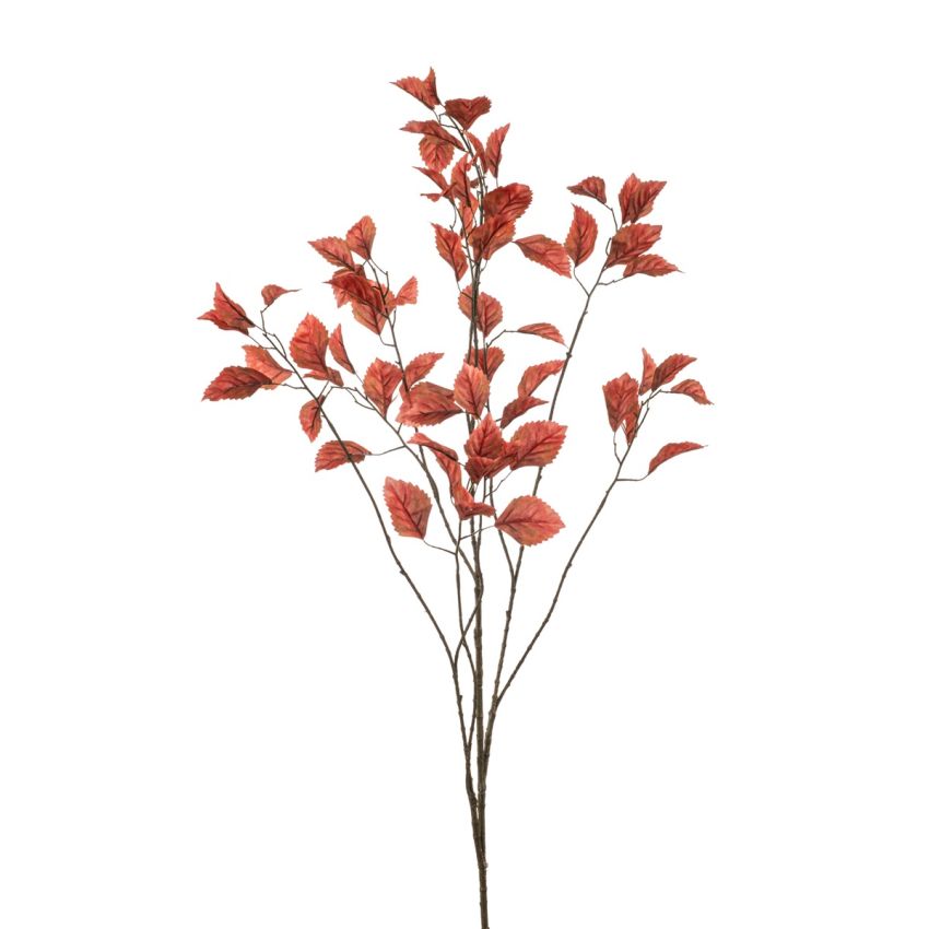 Fagus lvs spray coral 135cm