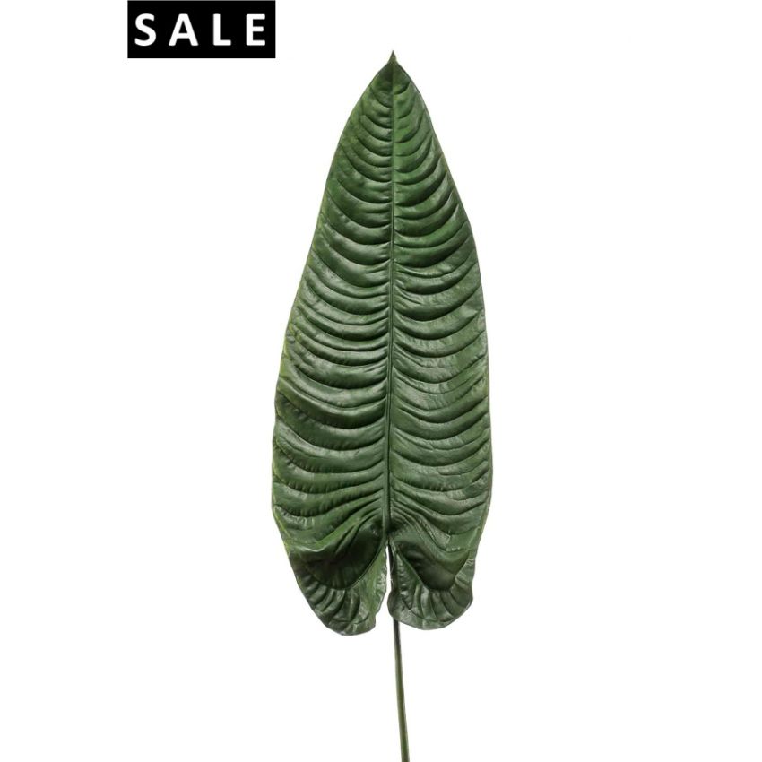 Elephant ear leaf dk green 105cm