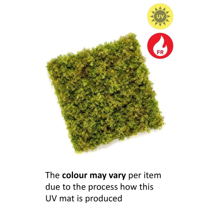 Iceland moss mat UV/FR 50x50cm