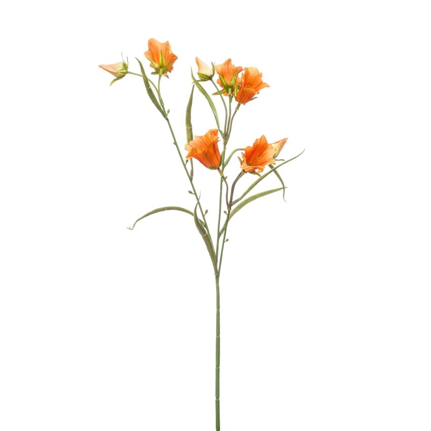 Campanula spray orange 65cm