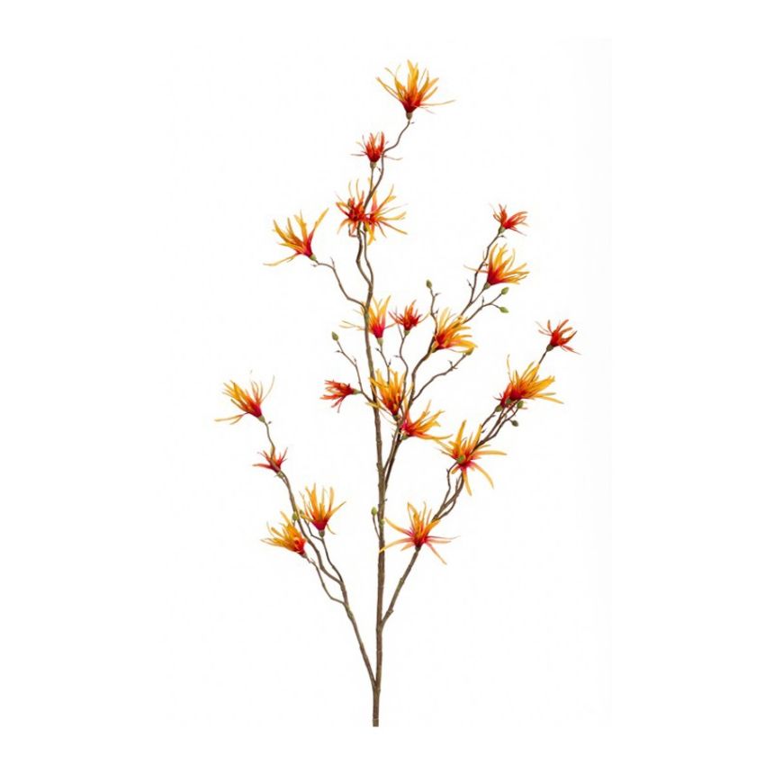 Hamamelis spray orange/yellow 120cm