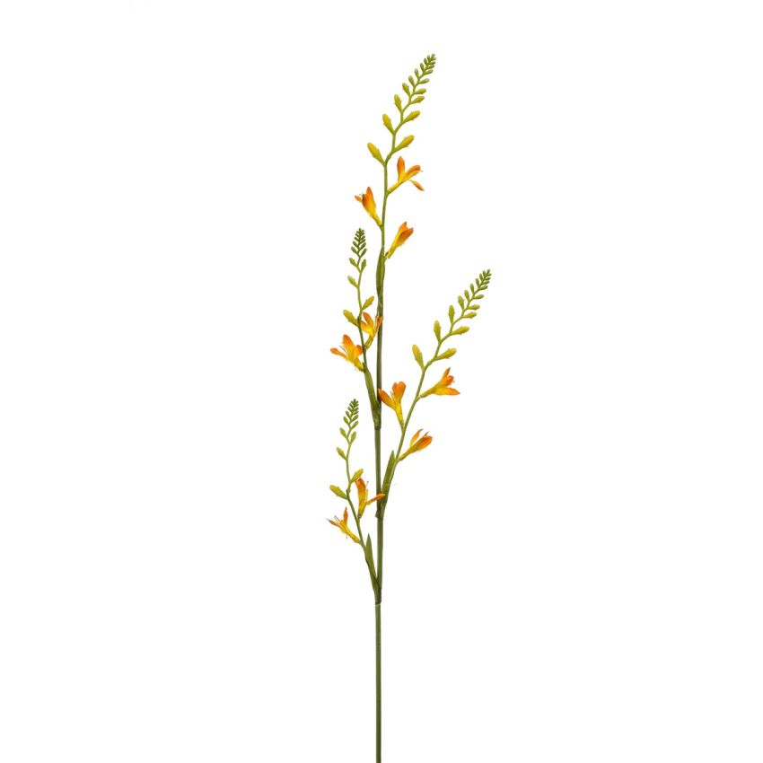 Montbretia spray yellow 93cm