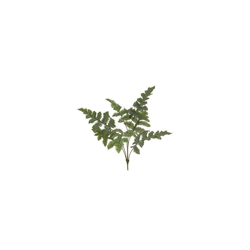 Phlebodium bush green 65cm