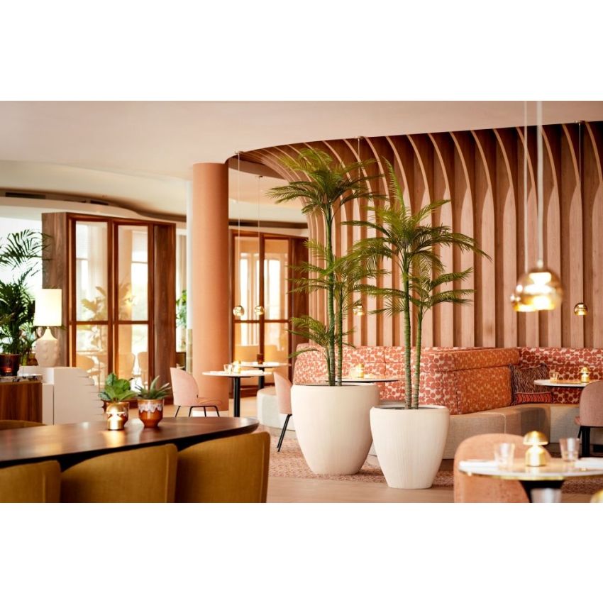 Palm phoenix deluxe x3 245cm (knock down packing)