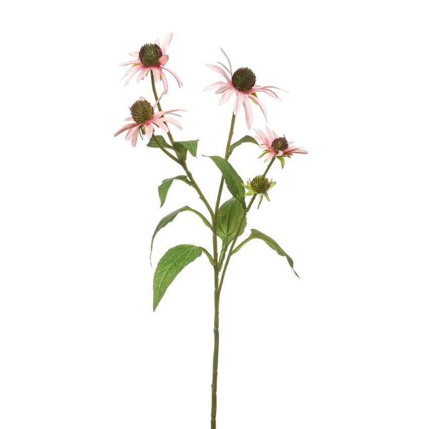 Rudbeckia spray lt pink 73cm