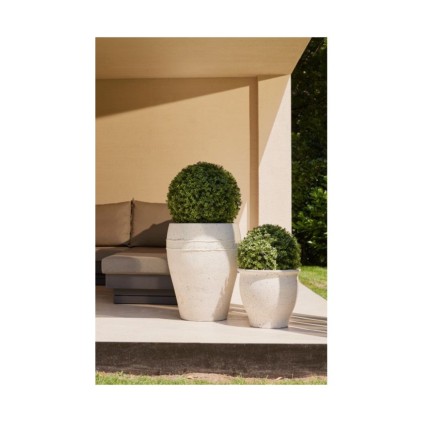 Boxwood ball UV in pot 53cm