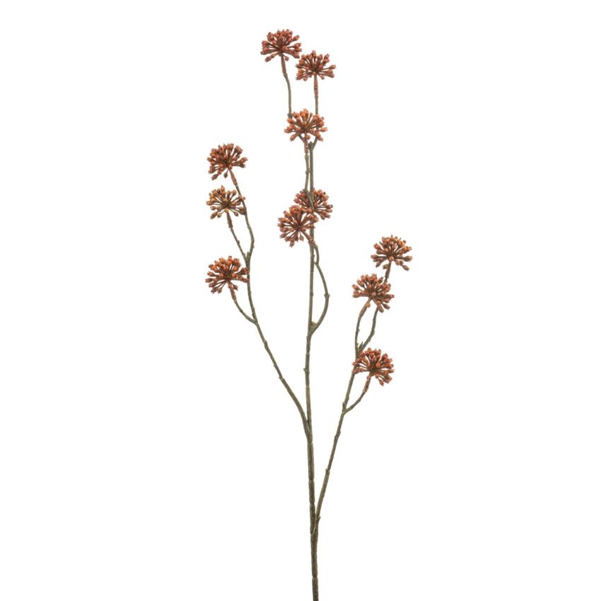 Angelica seed spray orange 80cm