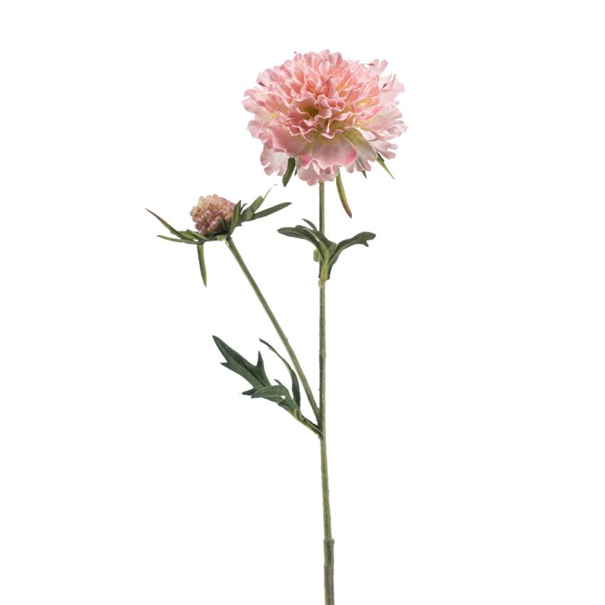 Scabiosa spray lt pink 57cm