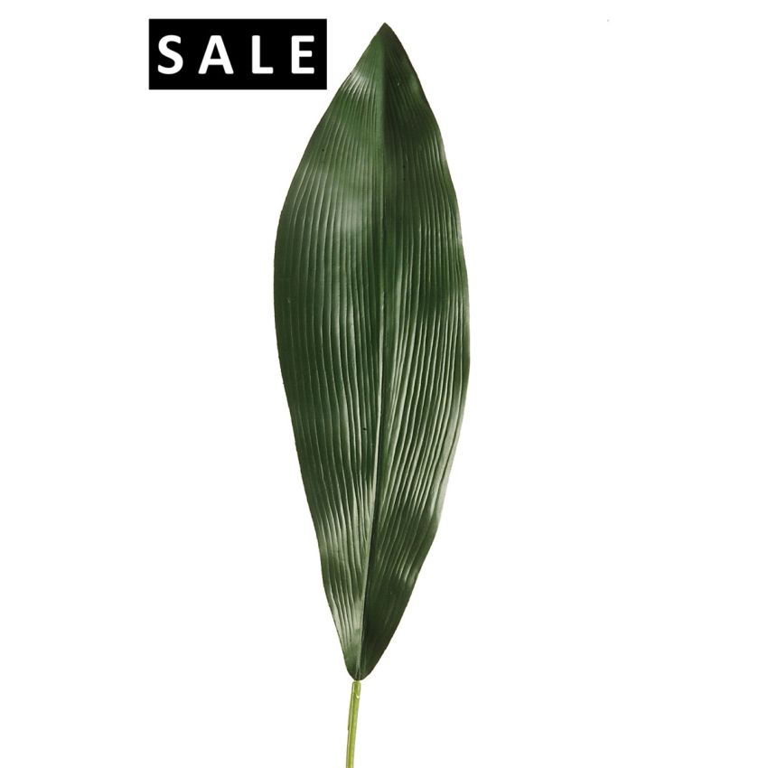 Aspidistra leaf 75cm dk green