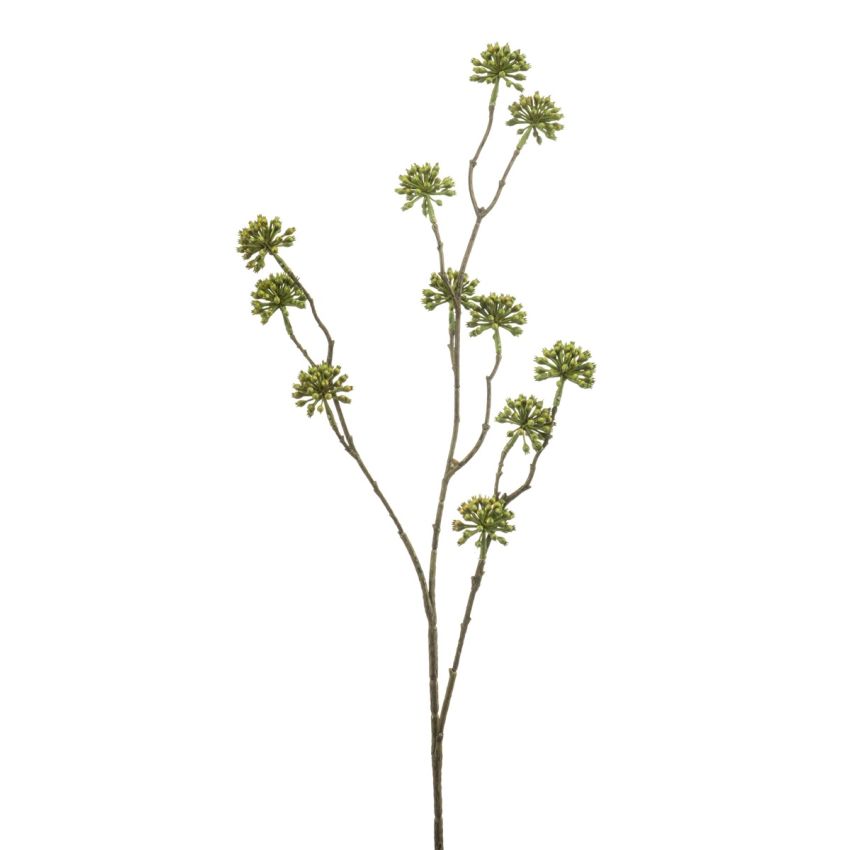 Angelica seed spray green 80cm