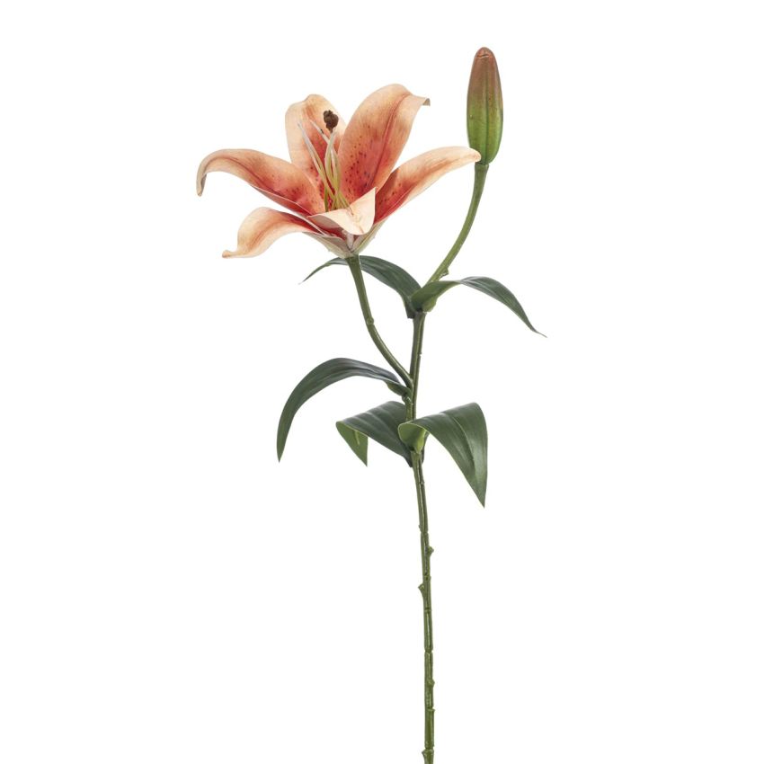 Lily spray orange 56cm