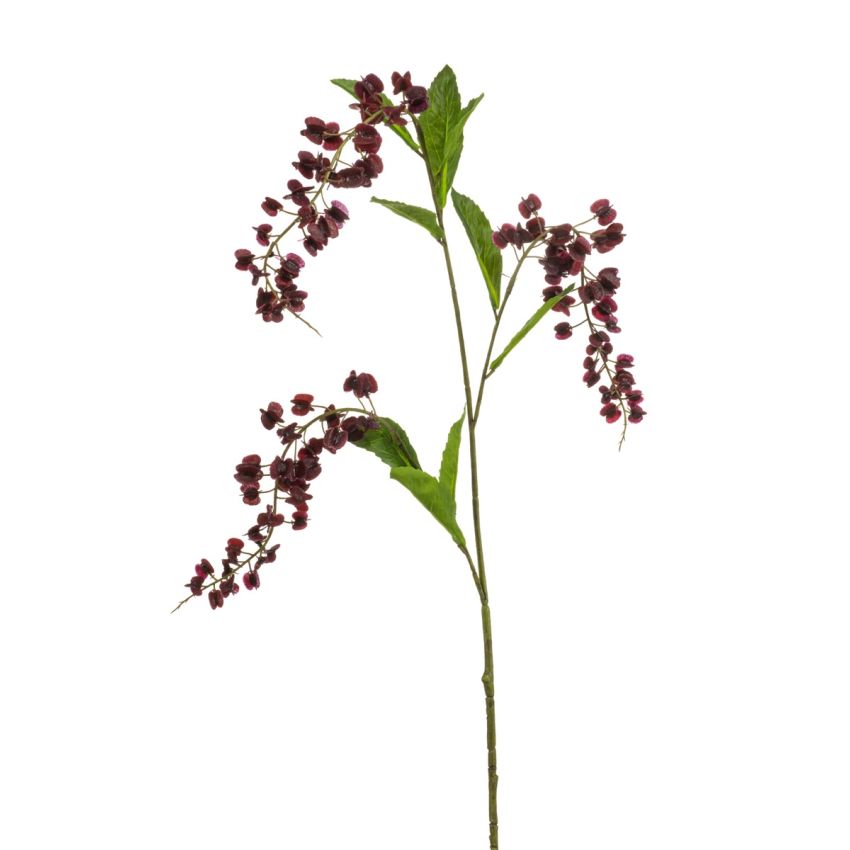 Lepidium spray w lvs burgundy 90cm