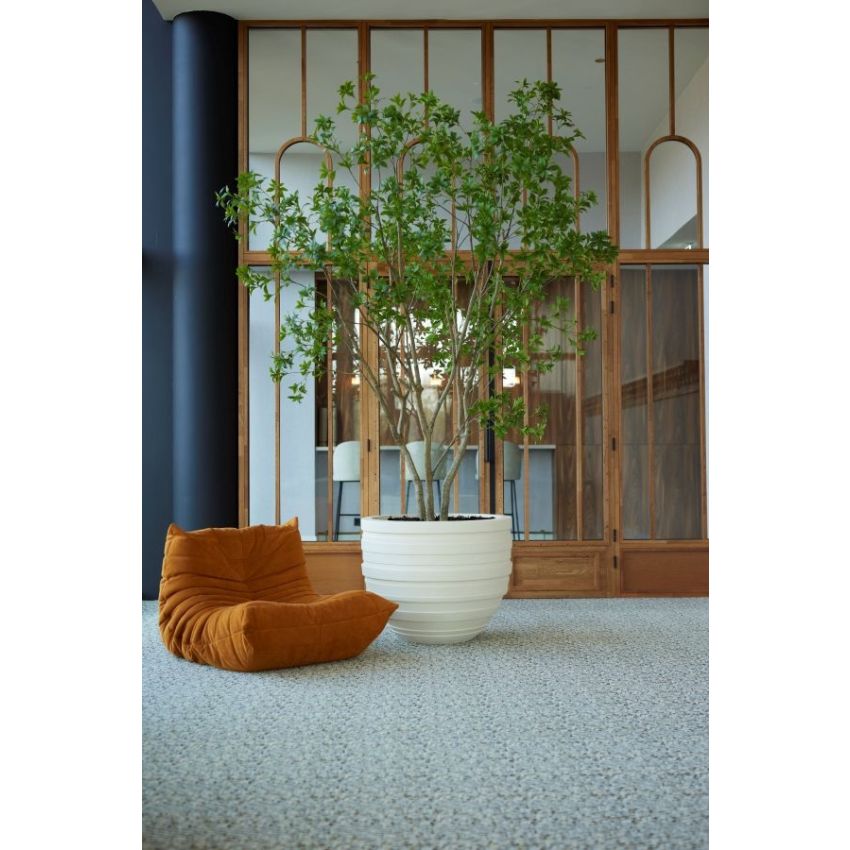 Laurel multi trunk tree 285cm (knock down packing)