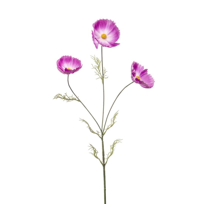 Cosmos spray lt purple 80cm
