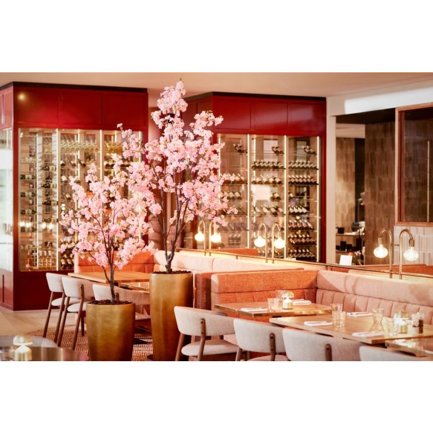 Blossom cherry tree pink 210cm