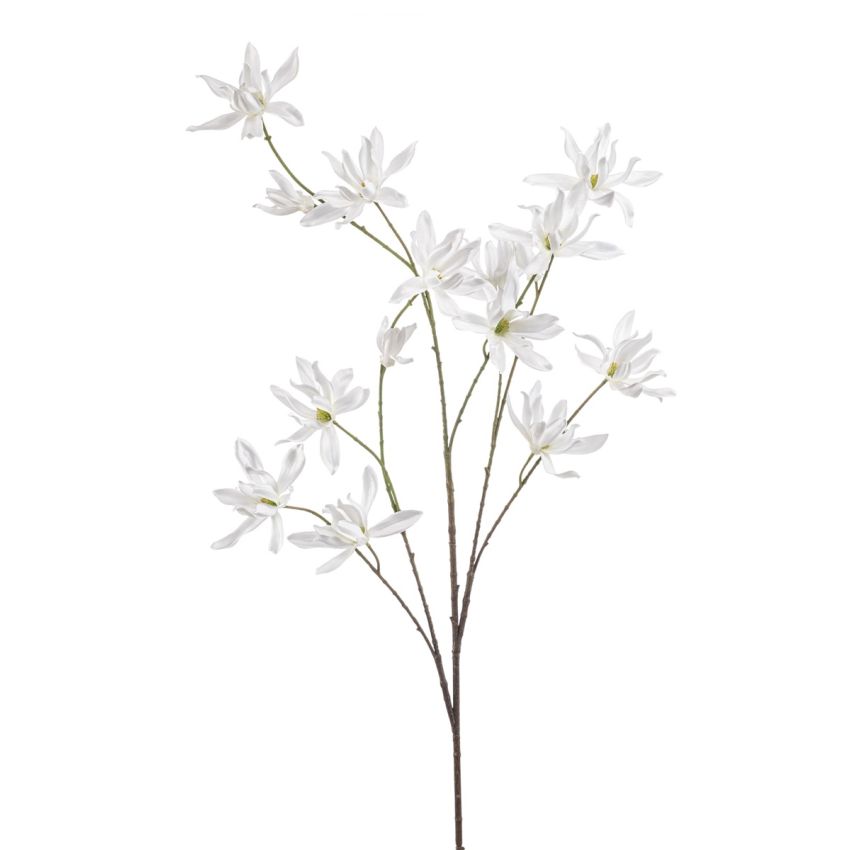 Magnolia spray white 122cm