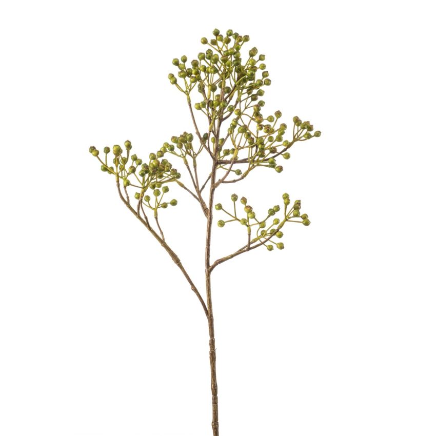 Rosehip mini spray green 65cm