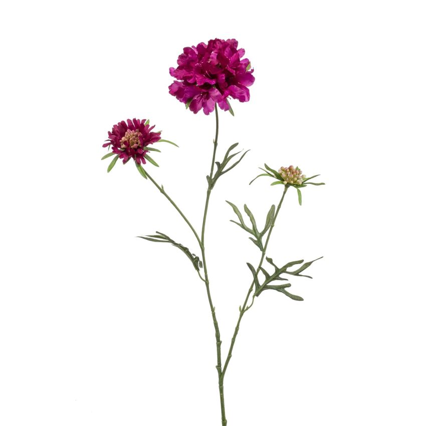 Scabiosa spray purple 77cm