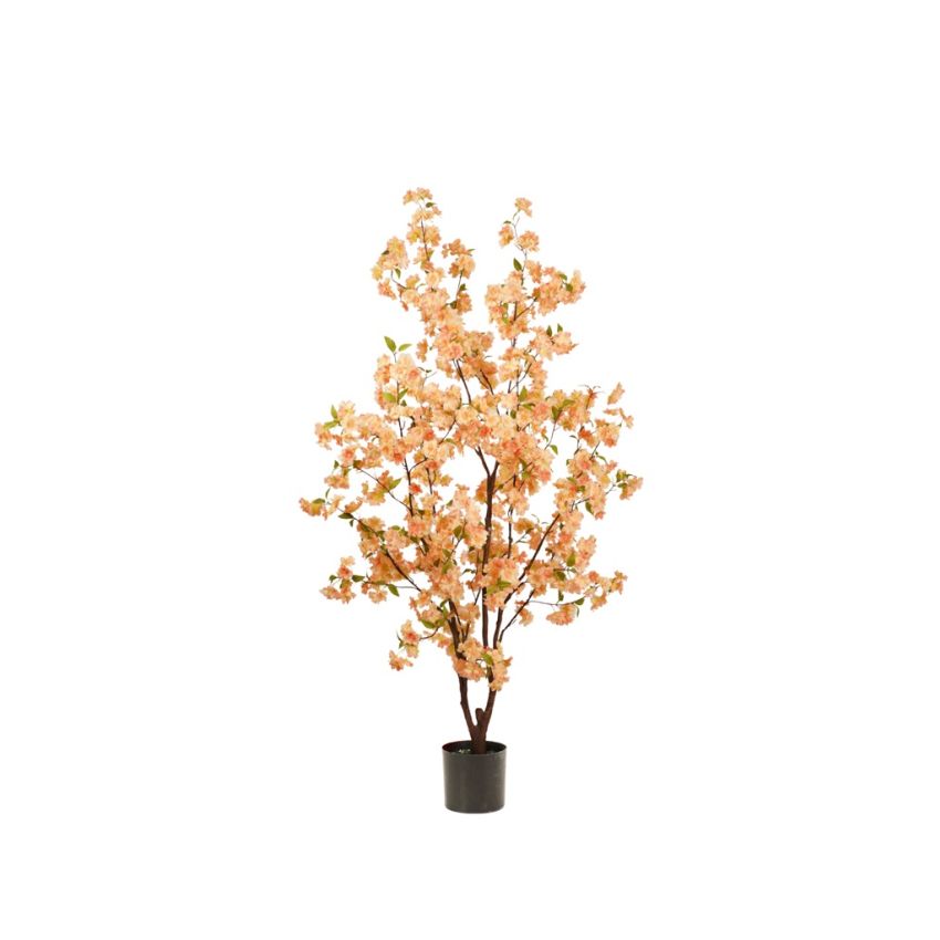 Blossom cherry tree peach 135cm
