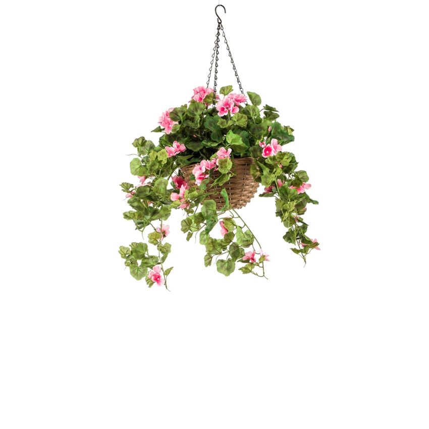 Geranium in hanging basket pink 70cm
