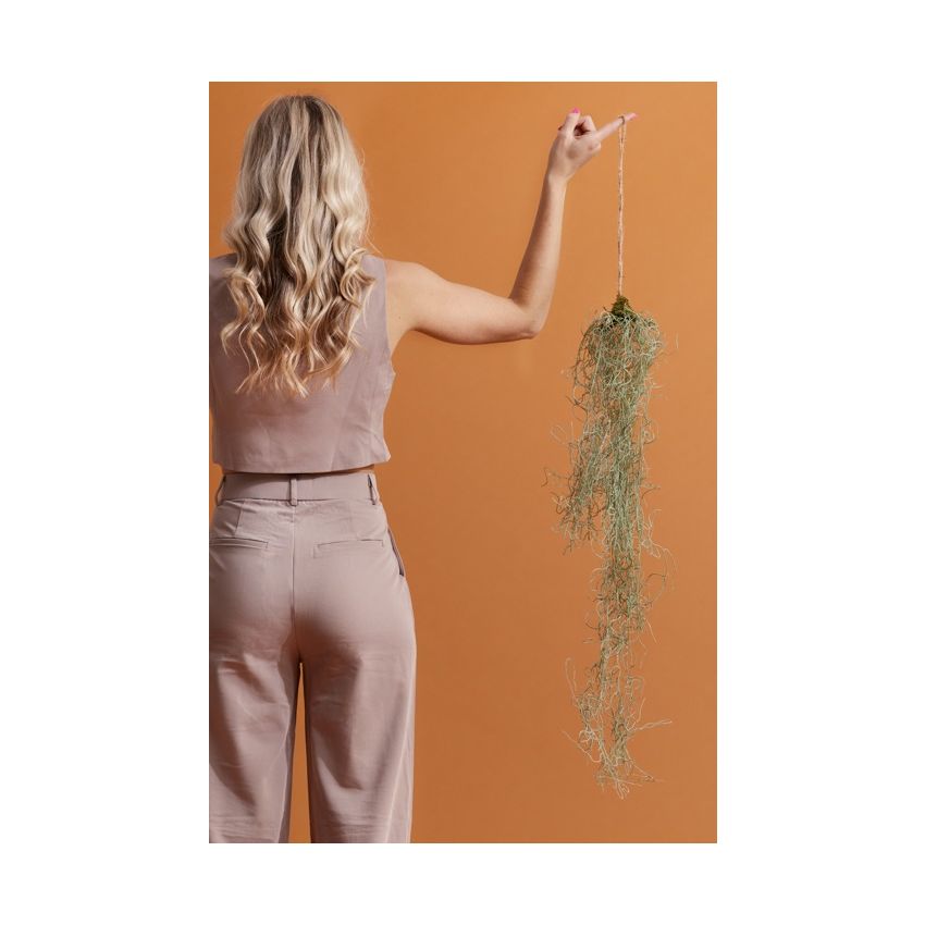 Tillandsia hanging deco  90cm