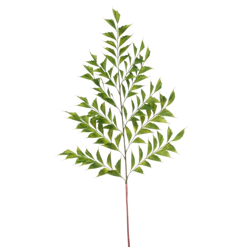 Palm fishtail spray 130cm